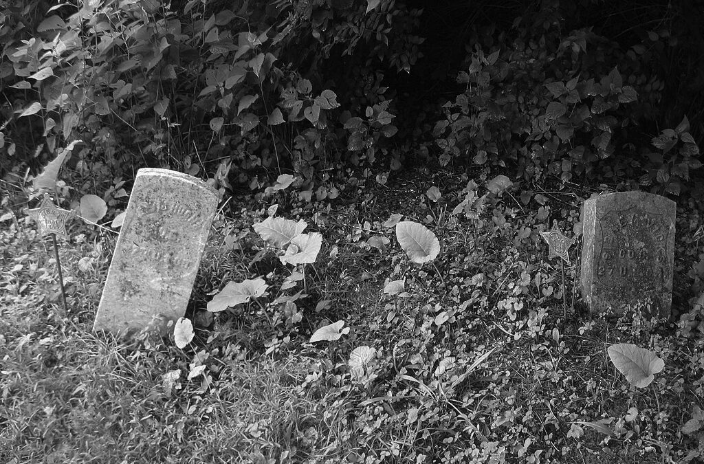 Desecrating the Black Body from Cradle to Grave: The Fight to Save an Ancestral Cemetery from Graverobbers